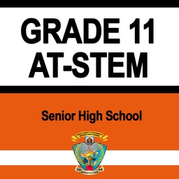 Grade 11 - AT-STEM